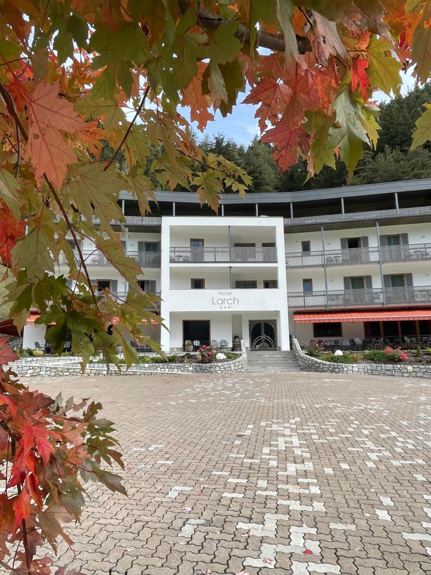 Hotel Larch คัมโป ดิ เทรนส์ ภายนอก รูปภาพ